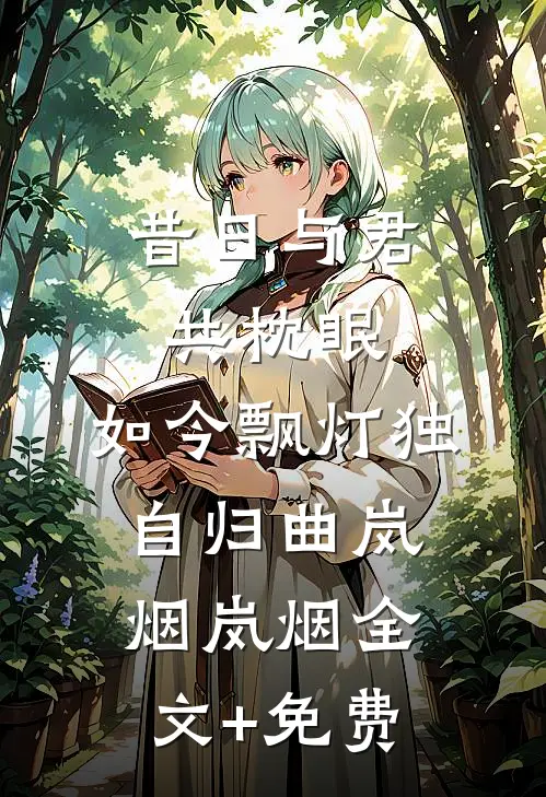 昔日与君共枕眠，如今飘灯独自归曲岚烟岚烟全文+免费