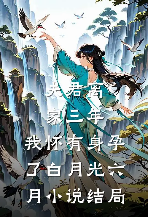 夫君离家三年，我怀有身孕了白月光六月小说结局