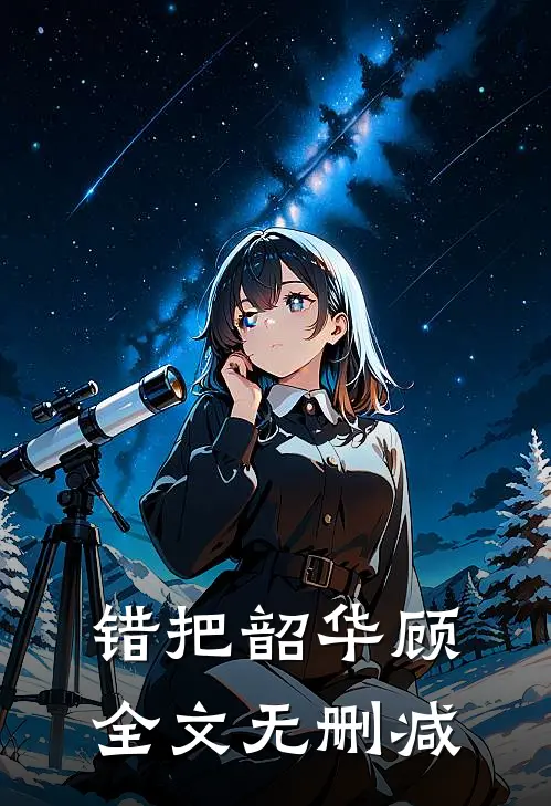错把韶华顾全文无删减