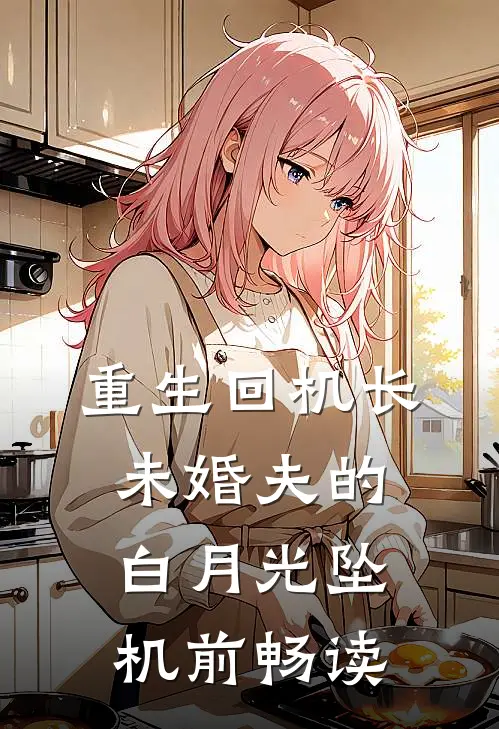 重生回机长未婚夫的白月光坠机前畅读