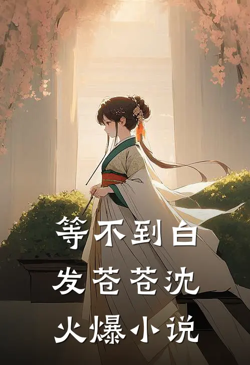 等不到白发苍苍沈火爆小说