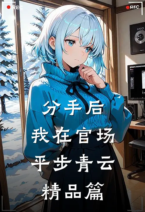 分手后，我在官场平步青云精品篇