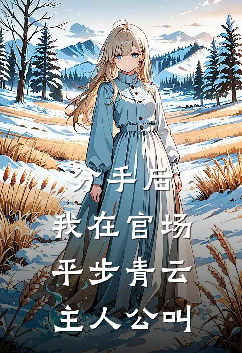 分手后，我在官场平步青云主人公叫