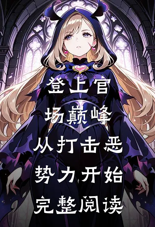 登上官场巅峰，从打击恶势力开始完整阅读