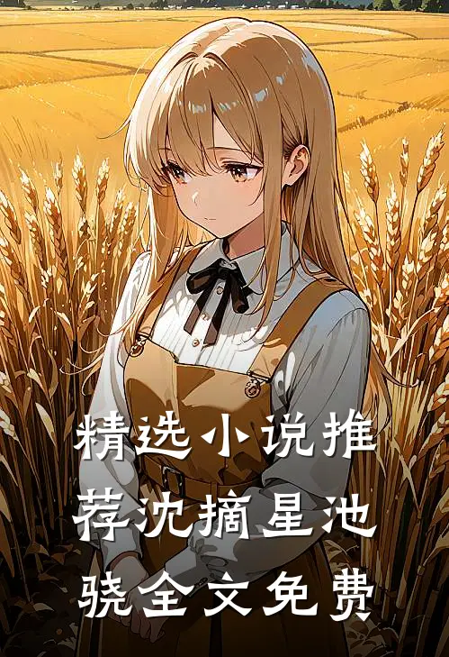 精选小说推荐沈摘星池骁全文免费