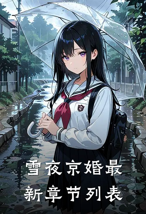 雪夜京婚最新章节列表