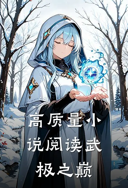 高质量小说阅读武极之巅