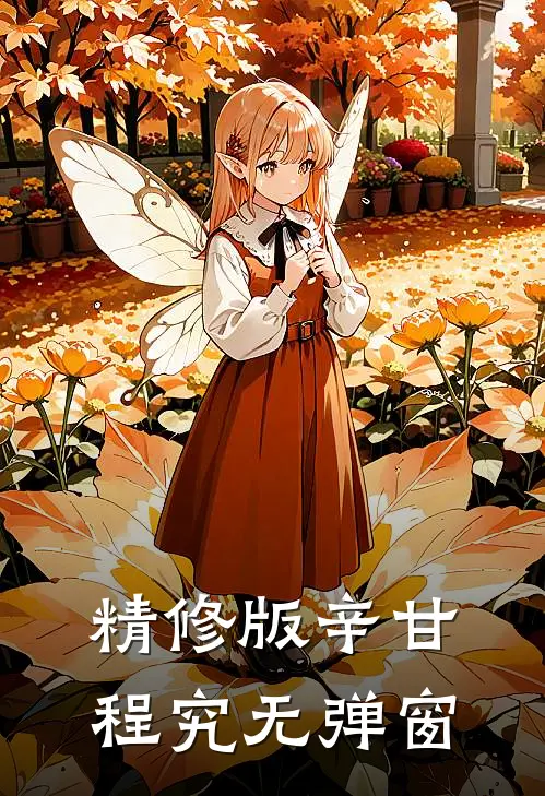 精修版辛甘程究无弹窗