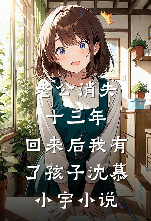 老公消失十三年，回来后我有了孩子沈慕小宇小说