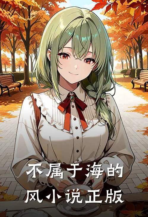 不属于海的风小说正版
