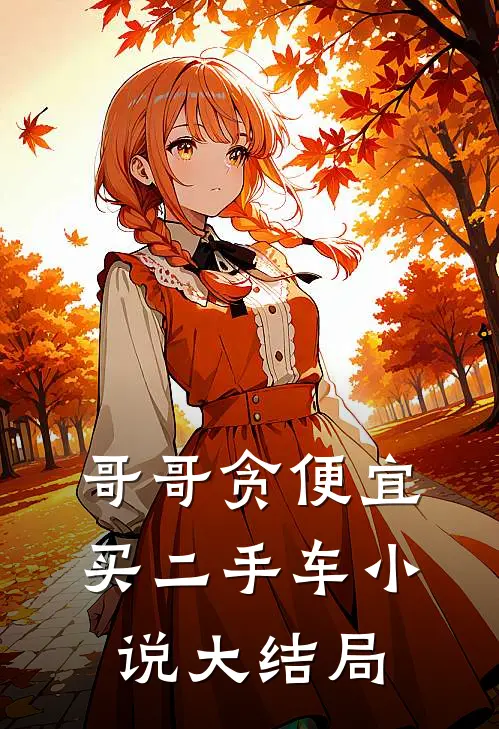 哥哥贪便宜买二手车小说大结局