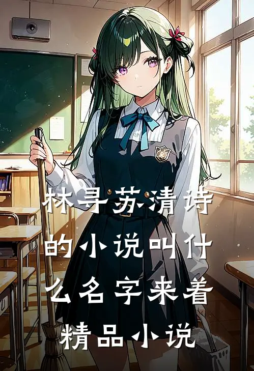 林寻苏清诗的小说叫什么名字来着精品小说
