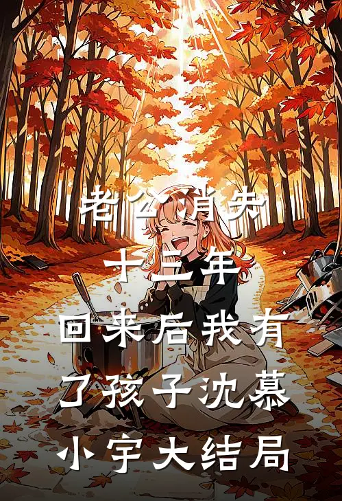 老公消失十三年，回来后我有了孩子沈慕小宇大结局