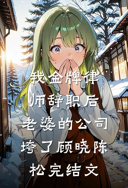 我金牌律师辞职后，老婆的公司垮了顾晓陈松完结文
