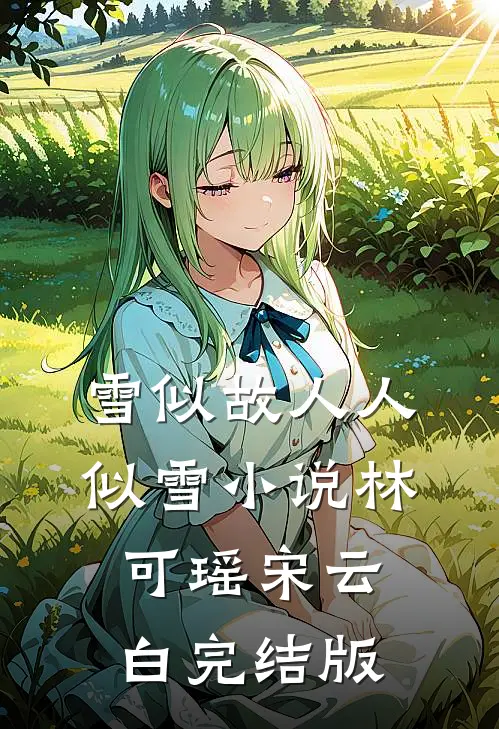 雪似故人人似雪小说林可瑶宋云白完结版