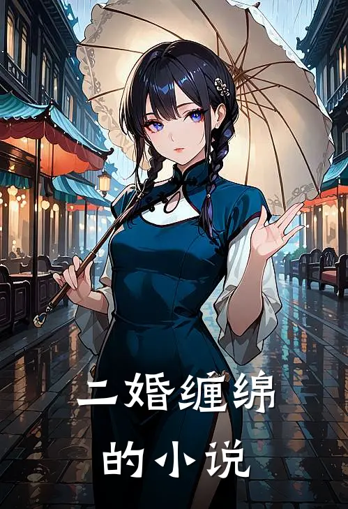 二婚缠绵的小说