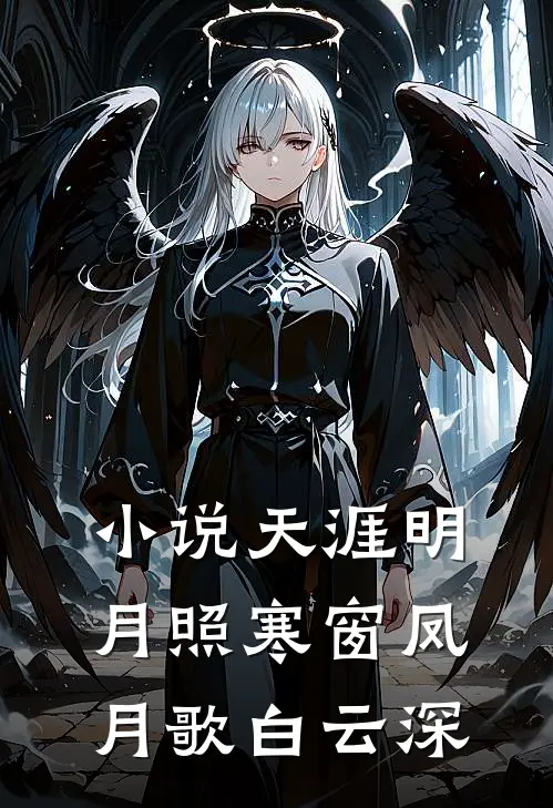 小说天涯明月照寒窗(凤月歌白云深)