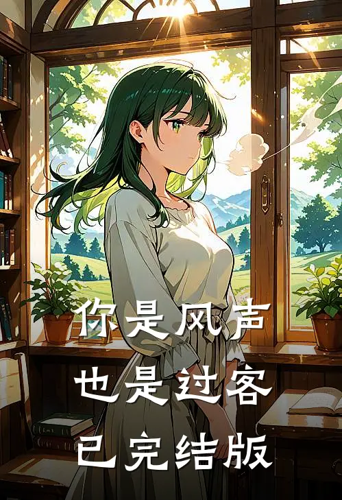 你是风声，也是过客已完结版