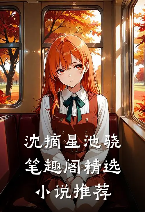 沈摘星池骁笔趣阁精选小说推荐