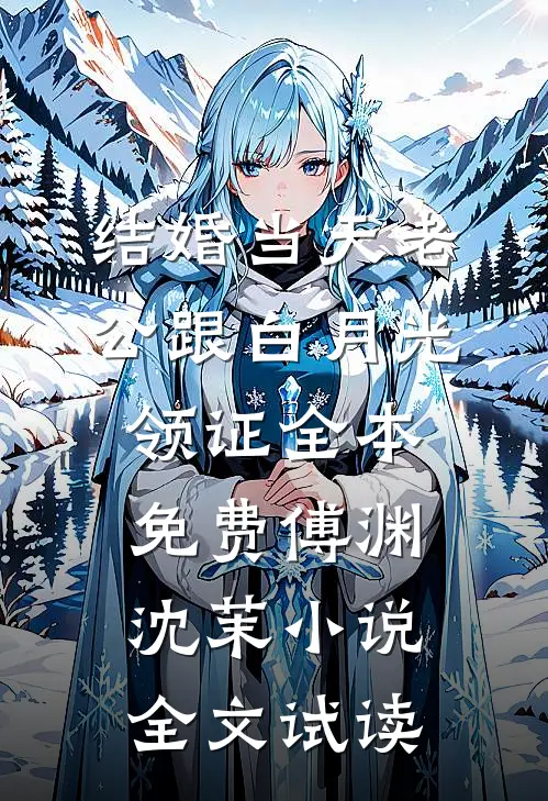 结婚当天老公跟白月光领证全本免费傅渊沈茉小说全文试读