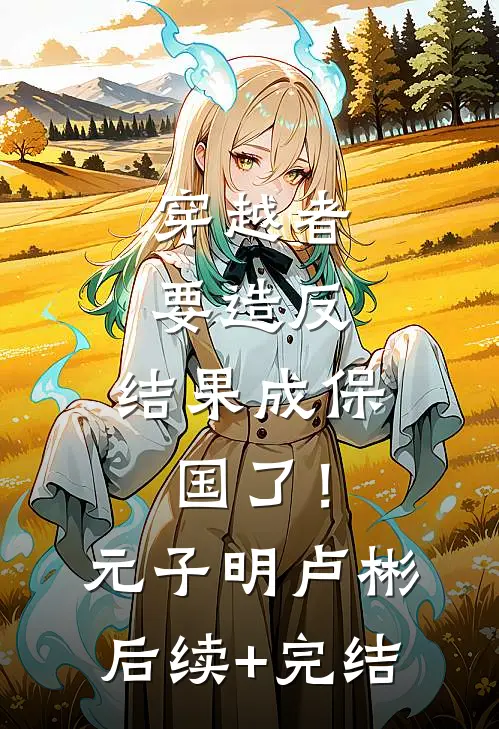 穿越者要造反，结果成保国了！元子明卢彬后续+完结