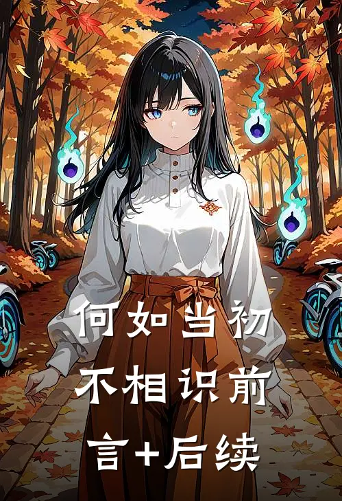 何如当初不相识前言+后续