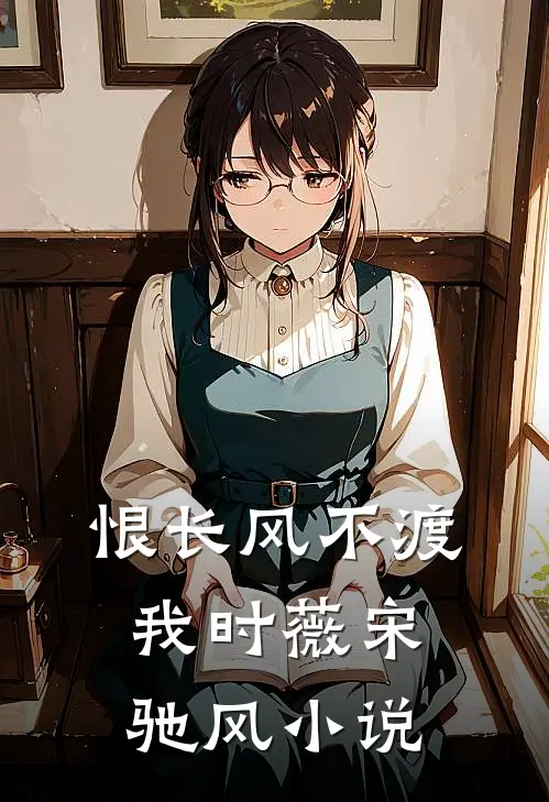 恨长风不渡我时薇宋驰风小说