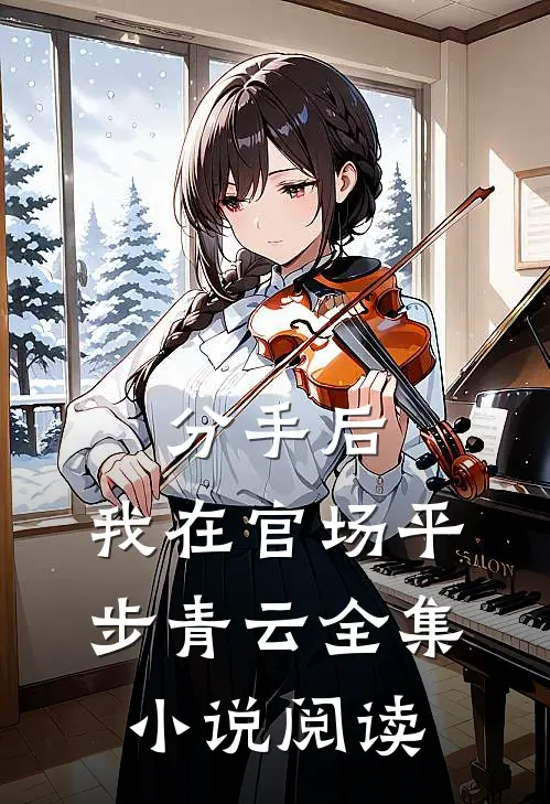 分手后，我在官场平步青云全集小说阅读