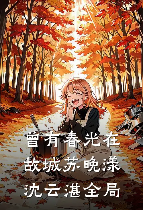曾有春光在故城苏晚漾沈云湛全局