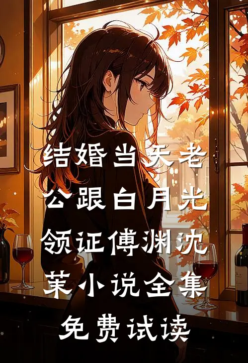 结婚当天老公跟白月光领证傅渊沈茉小说全集免费试读