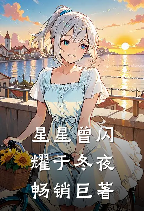 星星曾闪耀于冬夜畅销巨著