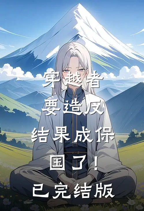 穿越者要造反，结果成保国了！已完结版