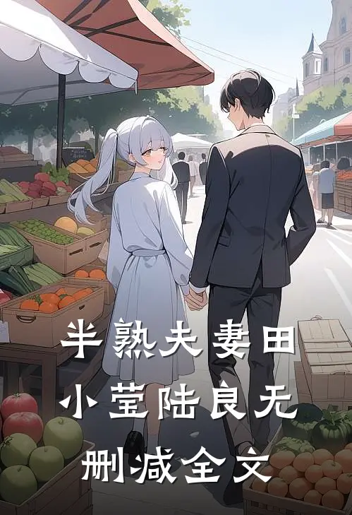 半熟夫妻田小莹陆良无删减全文