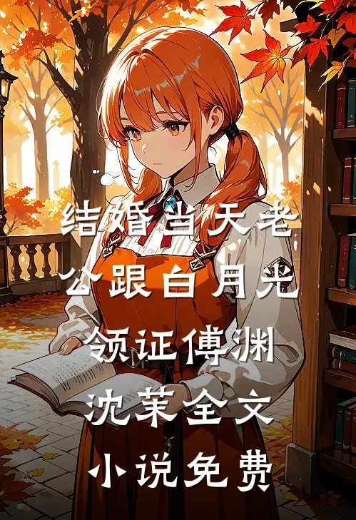 结婚当天老公跟白月光领证傅渊沈茉全文小说免费