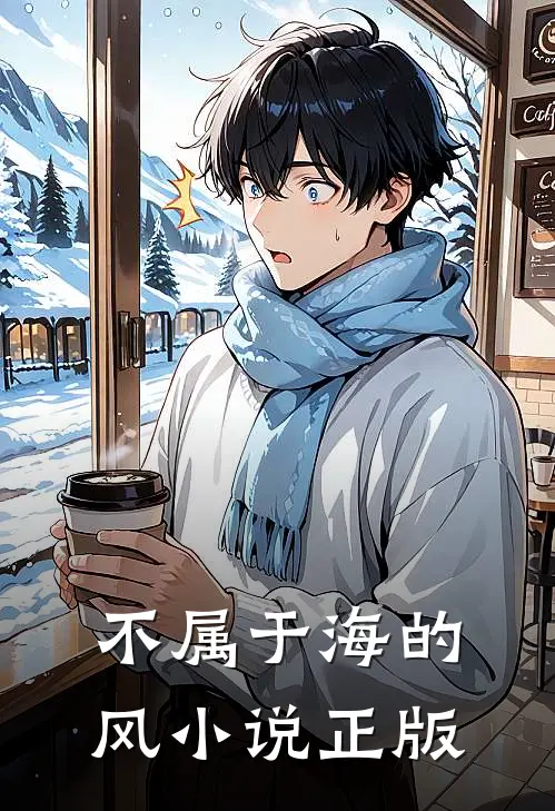 不属于海的风小说正版