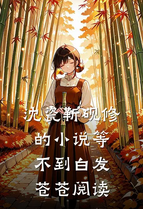 沈瓷靳砚修的小说等不到白发苍苍阅读