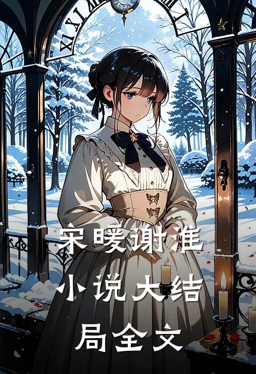 宋暖谢淮小说大结局全文