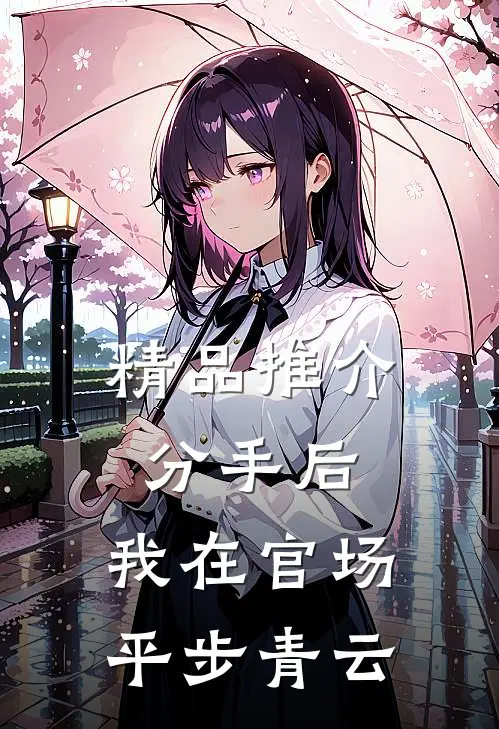 精品推介分手后，我在官场平步青云