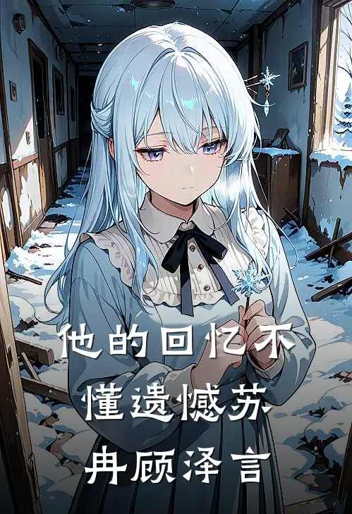 他的回忆不懂遗憾苏冉顾泽言