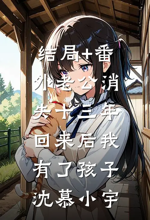 结局+番外老公消失十三年，回来后我有了孩子沈慕小宇
