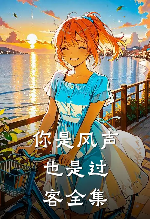 你是风声，也是过客全集