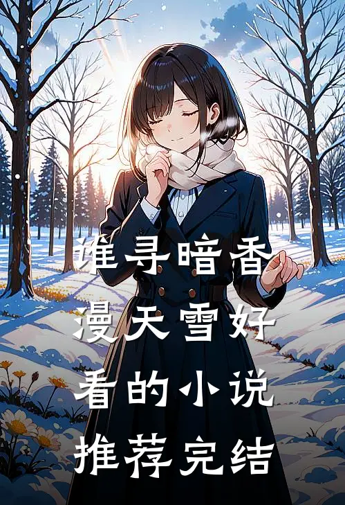 谁寻暗香漫天雪好看的小说推荐完结