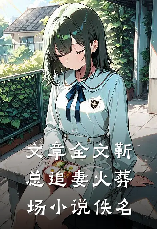 文章全文靳总追妻火葬场小说佚名