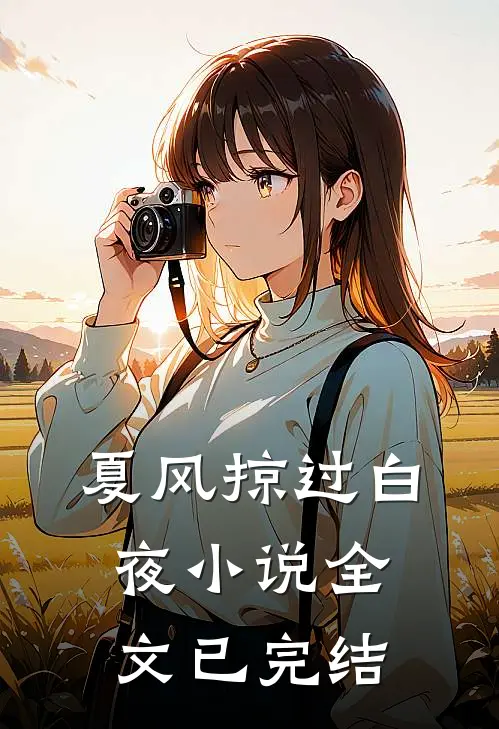 夏风掠过白夜小说全文已完结