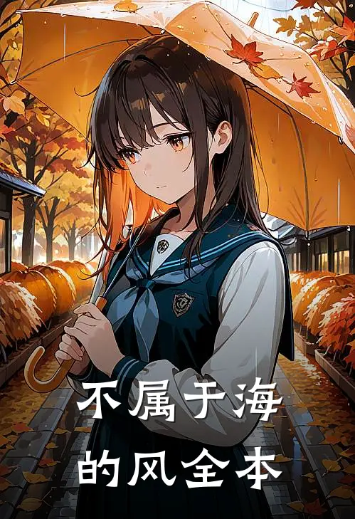 不属于海的风全本