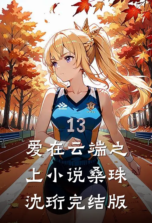 爱在云端之上小说桑珠沈珩完结版