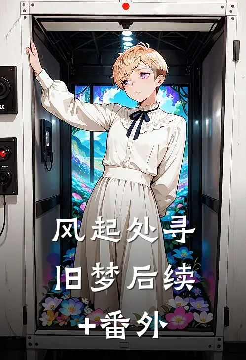 风起处寻旧梦后续+番外
