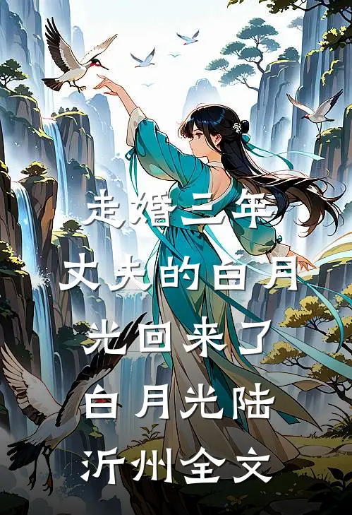 走婚三年，丈夫的白月光回来了白月光陆沂州全文