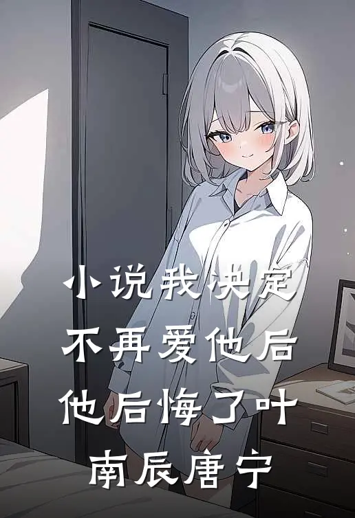 小说我决定不再爱他后，他后悔了(叶南辰唐宁)