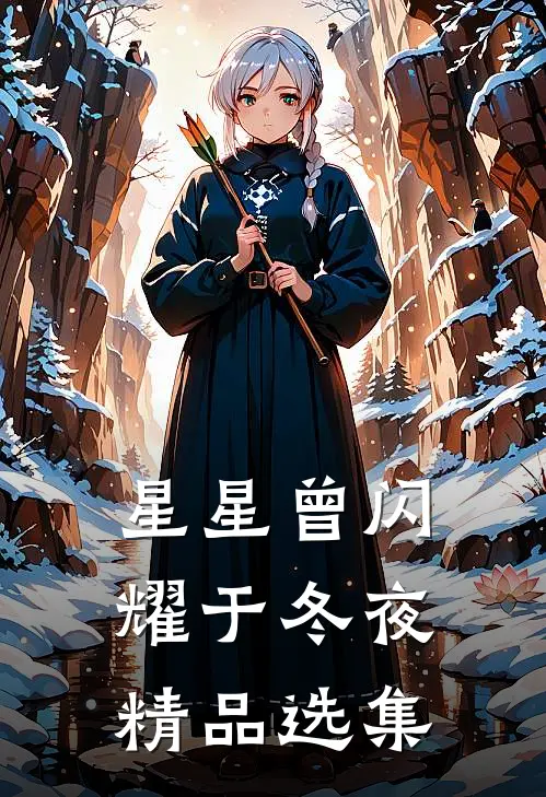 星星曾闪耀于冬夜精品选集